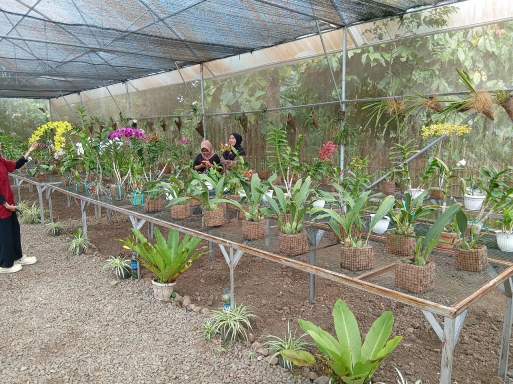 whatsapp image 2025 09 11 at 22.56.08 3a90ca41